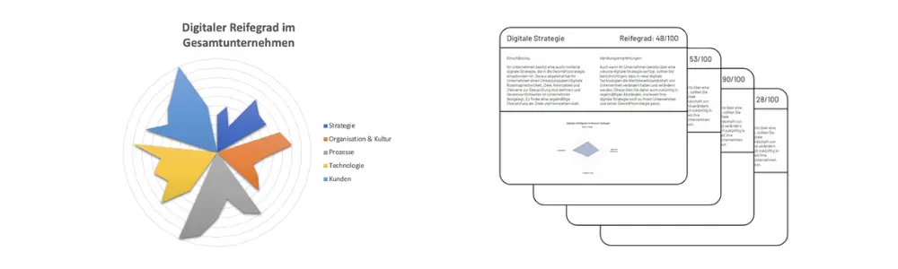 Spinnennetz-Diagramm und Scorecards